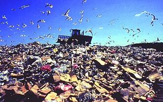 landfill