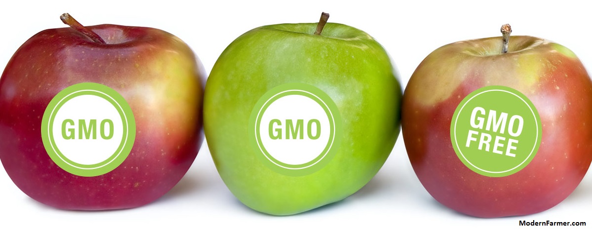 How GMO Food Labeling Regulations Affect Retail Packaging?